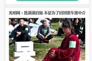 发最近挺火的泛目录页面mip模板(两个)